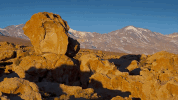 symphony for our world GIF by Nat Geo Wild 