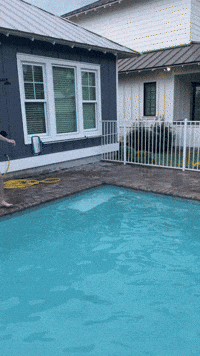 Pool GIF