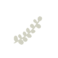 Effects Sticker