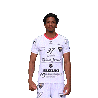 VilleurbanneHA handball proligue villeurbanne vha Sticker