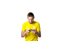 Football Soccer Sticker by FORTUNA:LIGA