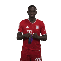 Bayern20 Sticker by FC Bayern Munich