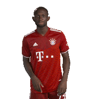 Over There Bundesliga Sticker by FC Bayern Munich