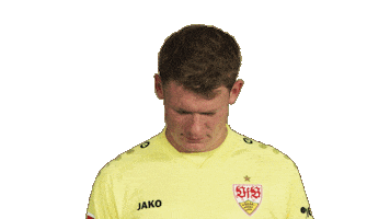 Look Up Vfb Stuttgart Sticker by Bundesliga