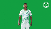 Goal Yes GIF by SpVgg Greuther Fürth