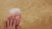 Vote Voting GIF by BuzzFeed