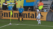 germany win GIF by HuffPost