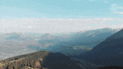 porscheiberica porsche 911 porsche911 cult911 GIF