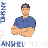 Israel Sticker by Anshel Fitness