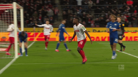 1 Fc Cologne Football GIF by 1. FC Köln