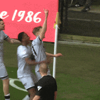 Goal Smile GIF by MillwallFC