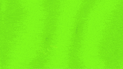 Football Sport GIF by Seattle Seahawks