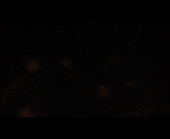 New Haven Fire GIF by District Dave