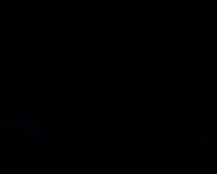 Cat GIF