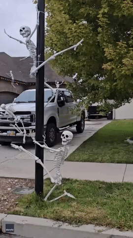 Dozens of Skeletons Take Over Utah Front Yard for Halloween