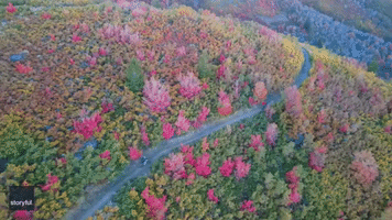 Drone Captures Cyclists' Autumnal Ride Along Utah Trail