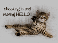 Hello GIF
