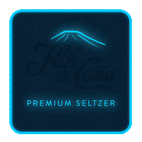 Hard Seltzer Sticker by flordecana