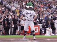 Lets Go Baseball GIF by Kanpai Pandas