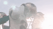 Football Nfl GIF by New England Patriots