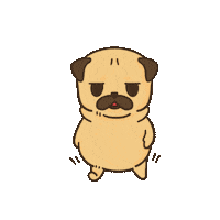 Walk Pug Sticker