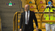 Football Win GIF by MolaTV