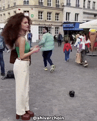Horse Unsettling GIF