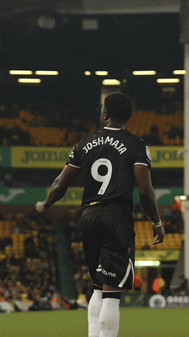 Celebrate West Brom GIF by West Bromwich Albion