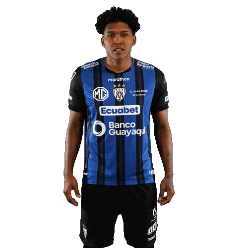 Dance Futbol Sticker by INDEPENDIENTE DEL VALLE