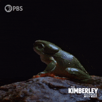 Im Out Take Off GIF by PBS