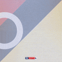 Goal Epl GIF by skysports
