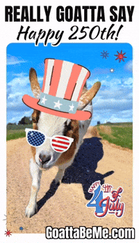 Independence Day Usa GIF by Goatta Be Me Goats! Adventures of Java, Toffee, Pumpkin and Cookie!