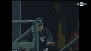 New York Yankees Sport GIF by YES Network
