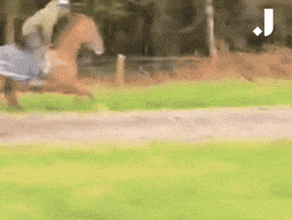 Best Friends Love GIF by The Jockey Club
