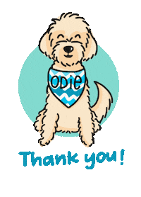 Thank You Sticker