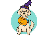 Cute Dog Sticker