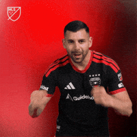 Lets Go Yes GIF by Major League Soccer