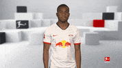 Red Bulls Love GIF by Bundesliga