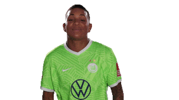 Beats Me Van De Sanden Sticker by VfL Wolfsburg
