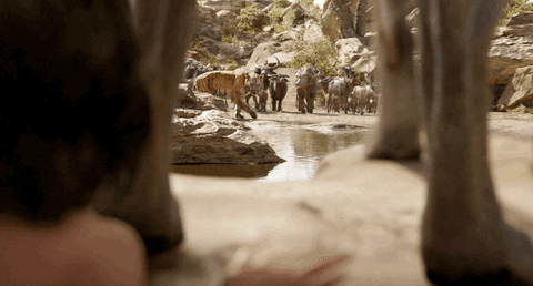jon favreau disney GIF by Disney's The Jungle Book