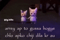 Cat Car GIF