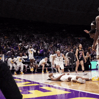 March Madness Basketball GIF by LSU Tigers