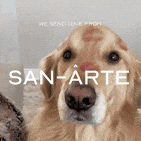 Golden Retriever Love GIF by PRÉVOIR
