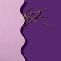 CrumbleCo candle wax crumble scentsy GIF