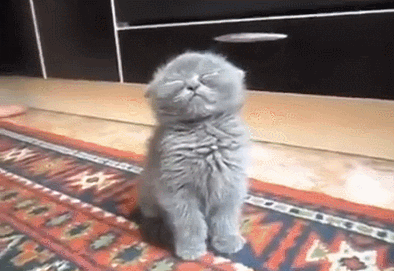 monday mornings GIF