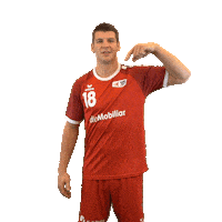 swisshandball_official handball schweiz swiss swisshandball Sticker