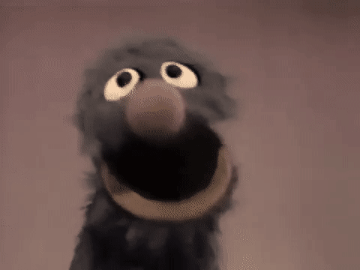 sesame street muppets GIF