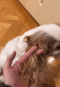 Hannah Bahng GIF