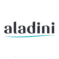 Shopping Online Shop Sticker by Aladini