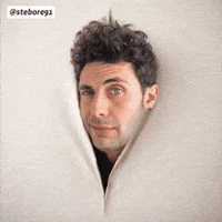 Breaking The Fourth Wall Reaction Gif GIF